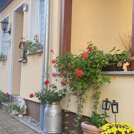 Ferienwohnung „Thea“ บาดเลาซิค ภายนอก รูปภาพ