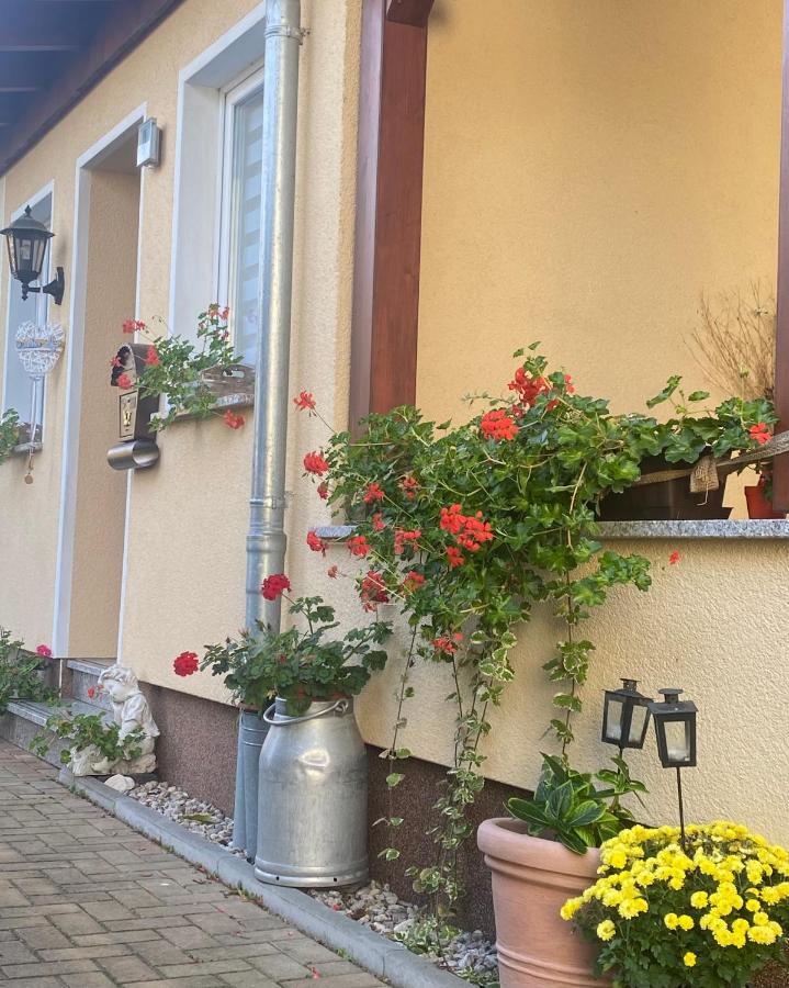 Ferienwohnung „Thea“ บาดเลาซิค ภายนอก รูปภาพ